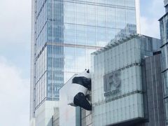 -CHANEL(ifs国际金融店)