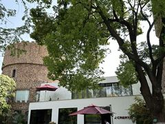 -J Create城市露营咖啡·简餐·宠物(上海动物园店)