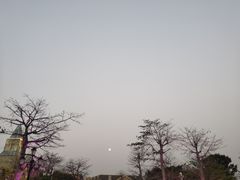 -海花岛旅游度假区