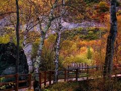-叠溪松坪沟景区