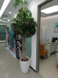 -联合丽格·张菡丽格医疗美容