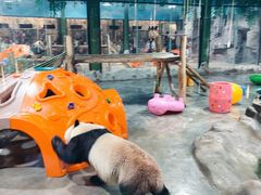 -栾川竹海野生动物园