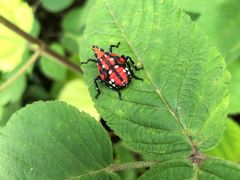 -南京金牛湖风景区