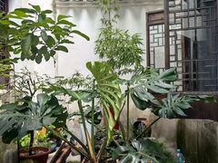 -月栖华明-云间草堂清茶馆(泗泾古镇店)