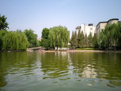 -团结湖公园