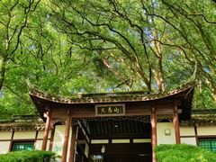 -上海佘山国家森林公园天马山园