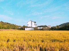 -西山风景区