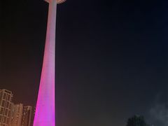 -辽宁电视塔