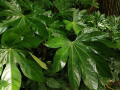 -宝鸡植物园