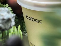 -BOBAC