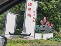 -渌洋湖湿地公园