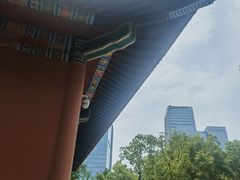 -重庆市江北嘴中央商务区中央公园