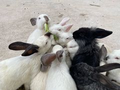 -昆明动物园