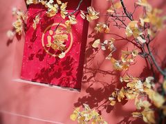 -潭柘寺景区