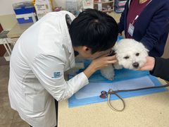 -美联众合动物医院·24h转诊中心