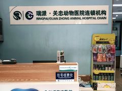 -瑞派·关忠动物医院·异宠专科·犬猫肿瘤·皮肤专科(望京店)
