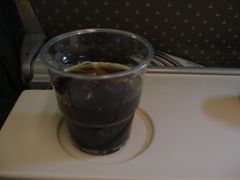 -新加坡航空公司(ION)