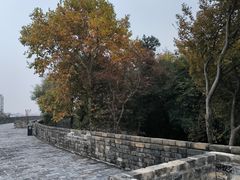 -南京城墙景区