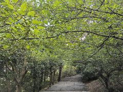 -敬亭山风景名胜区