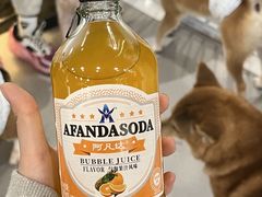 -共舞时光猫咖·狗咖(新街口店)