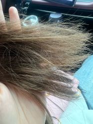 -DL HOPE明星造型