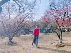 -采石矶景区