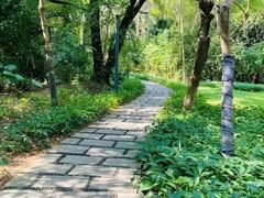 -燕晗山郊野公园