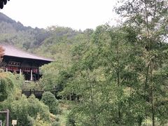 -大唐贡茶院