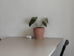-纽巷咖啡 SOFTFOCUS COFFEE(锦和巴黎时韵店)