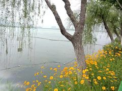 -金银湖国家城市湿地公园