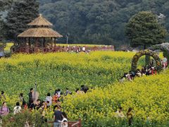 -广州市石门国家森林公园