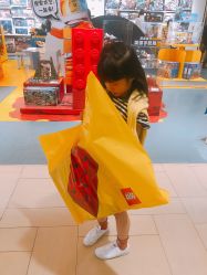 -乐高授权专卖店(浦东嘉里城店)