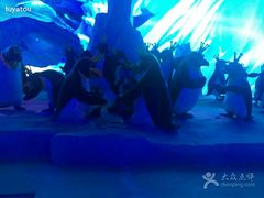 android_upload_pic-北京欢乐谷