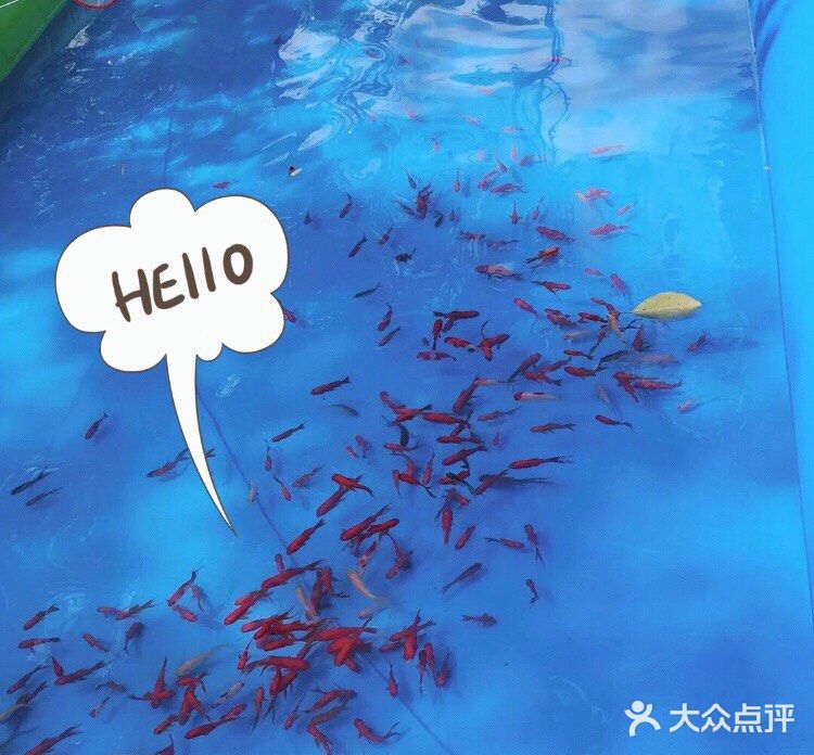 99元一大一小畅玩百邻庄园，超多项目等你来！