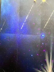 -MINX名珂斯·烫染形象设计