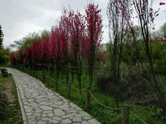 -贵阳市花溪国家城市湿地公园