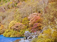 -叠溪松坪沟景区