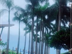 -三亚亚龙湾红树林度假酒店