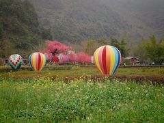 -靖西鹅泉风景区