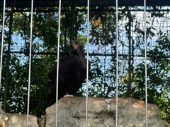 -海南热带野生动植物园