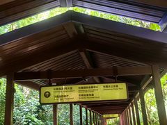 -麒麟中餐厅·经典粤菜·地道菜式老字号(广州长隆酒店)