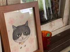 -海边的猫和咖啡馆