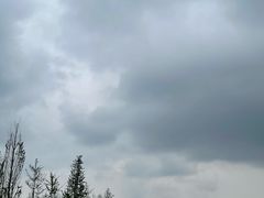 -白鹭湾湿地公园