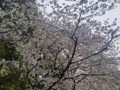 -玛格萝妮比萨屋(四平店)
