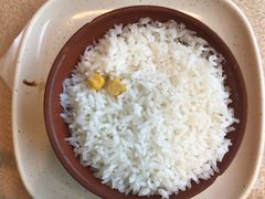 -京食源烧鸽子