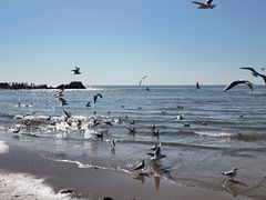 -老虎石海上公园