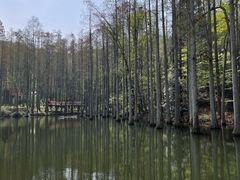 -波尔登森林公园