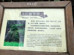 -九曲溪漂流