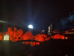 -禅宗少林·音乐大典