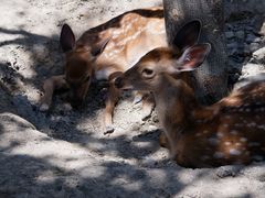 -水上乐园·欢乐世界